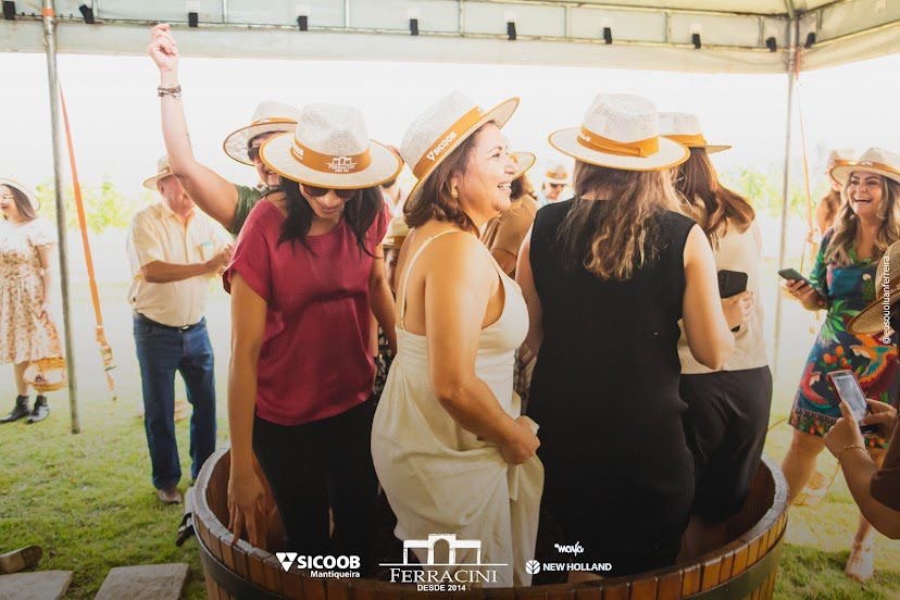 A Festa do Vinho 2025 da Vinícola Ferracini une tradição, música, gastronomia e experiências únicas em Penápolis. Descubra datas e programação.