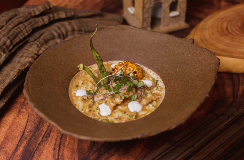  Monte Verde encerra festival gastronômico com chefs, música e 28 estandes