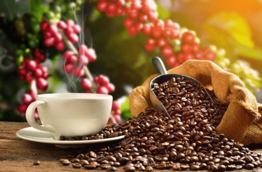  A cafeína saiu da xícara: novas formas de buscar energia ganham espaço no Brasil
