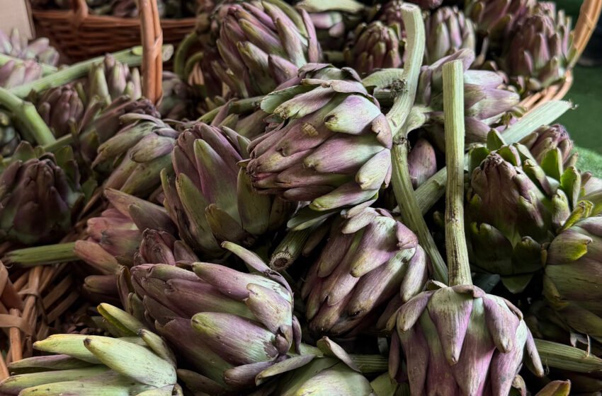  Festival da Alcachofra, Vinho e Mel reúne mais de dez receitas com a hortaliça em São Roque